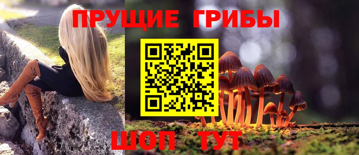 где купить наркотик  Вход с VPN  Галлюциногенные грибы MAGIC MUSHROOMS  Междуреченск  Галлюциногенные грибы прущие грибы 